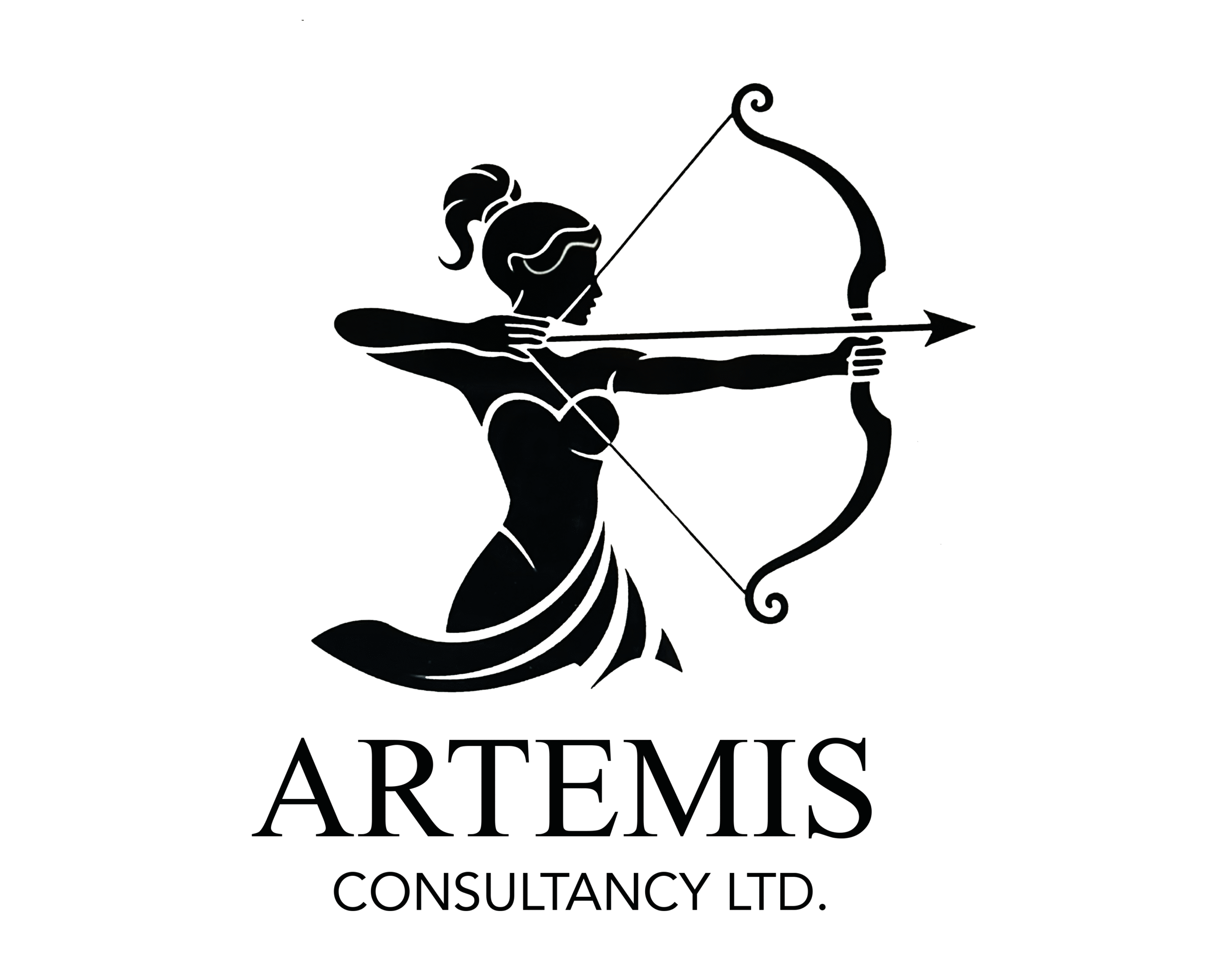 Artemis Consultancy Ltd – Accounting & Finance in the Cayman Islands